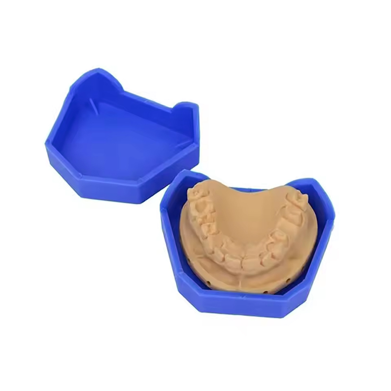 2/6Pcs Dental Model Base Silic - огляд і ціна Teeth Whitening Trays