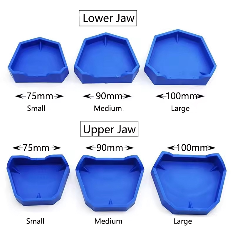 2/6Pcs Dental Model Base Silic - огляд і ціна Teeth Whitening Trays