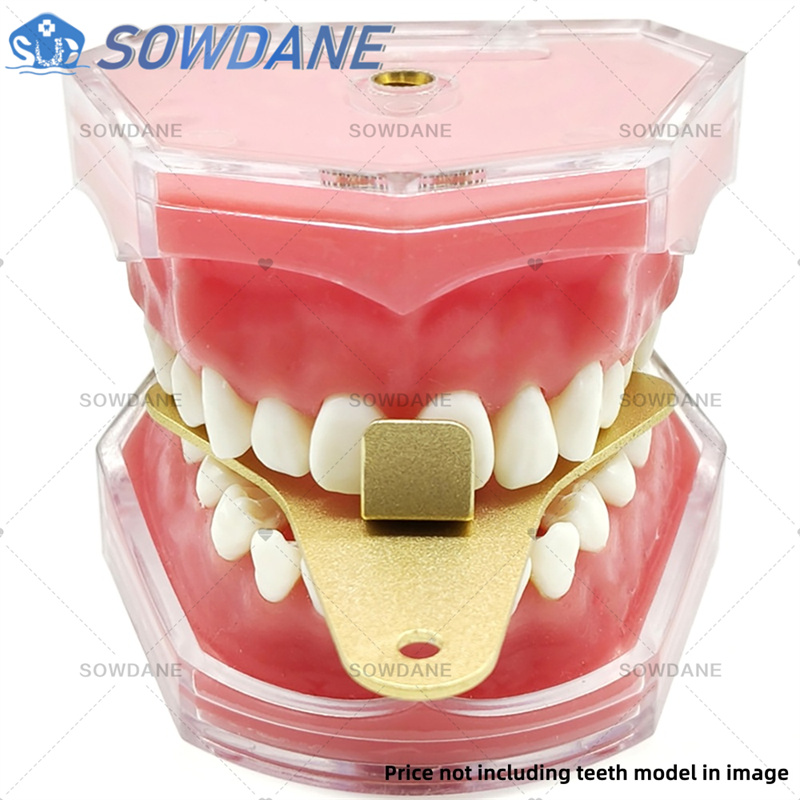 Dental Lab Impression Trays to - огляд і ціна Teeth Whitening Trays