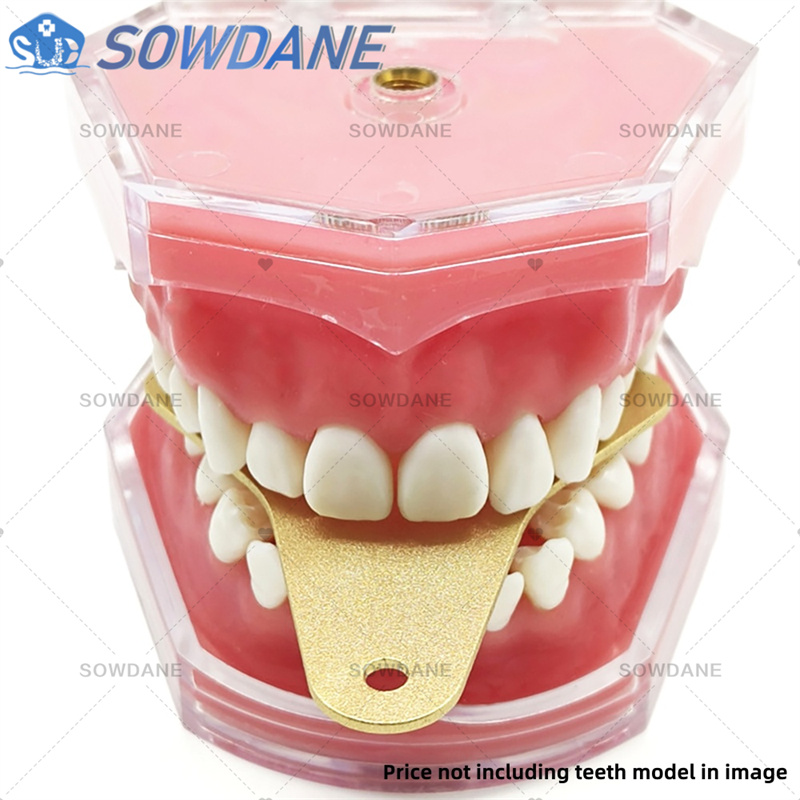 Dental Lab Impression Trays to - огляд і ціна Teeth Whitening Trays