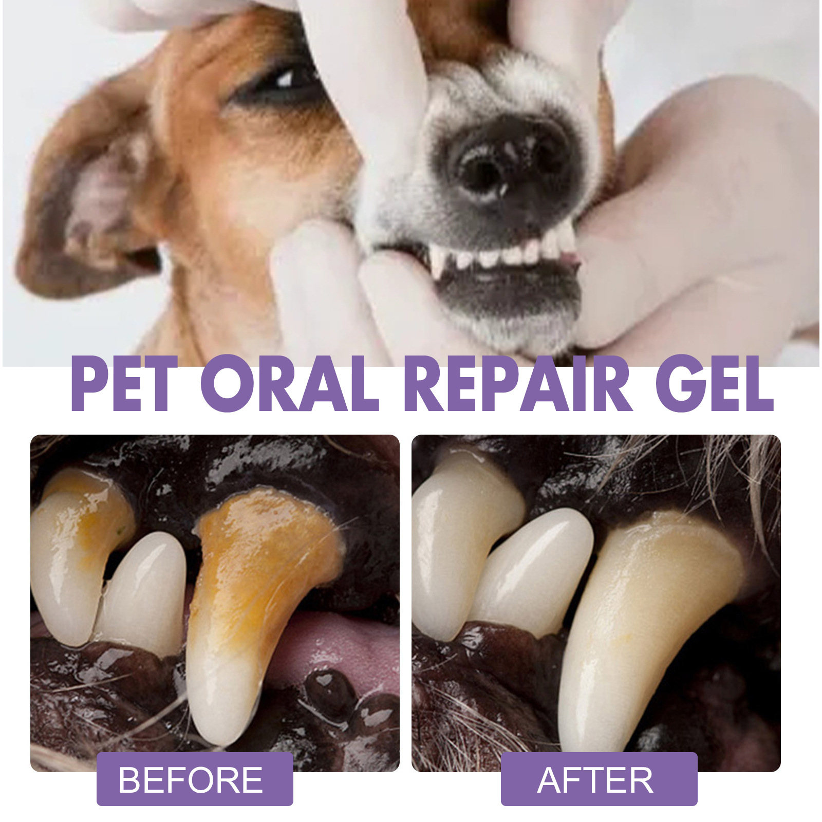 Pet Oral Repair Gel Puppy Tart - огляд і ціна Teeth Whitening App